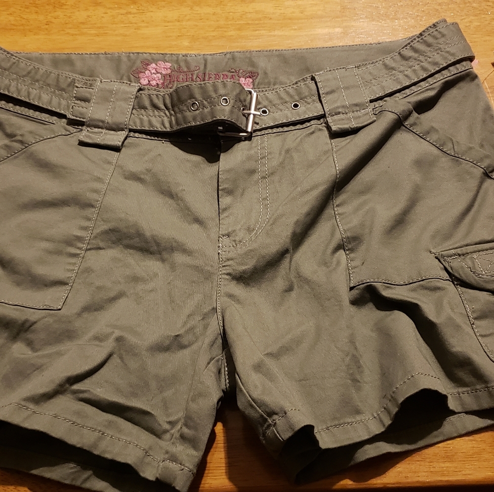 Army Green High Sierra Cargo Shorts